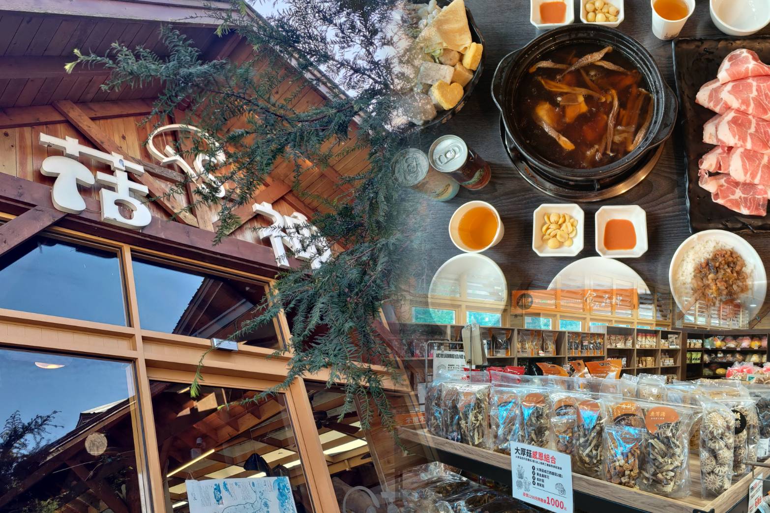 菇神新社店