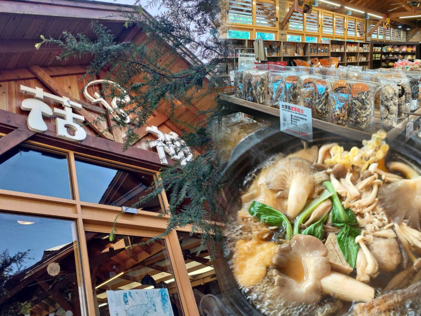 菇神新社店